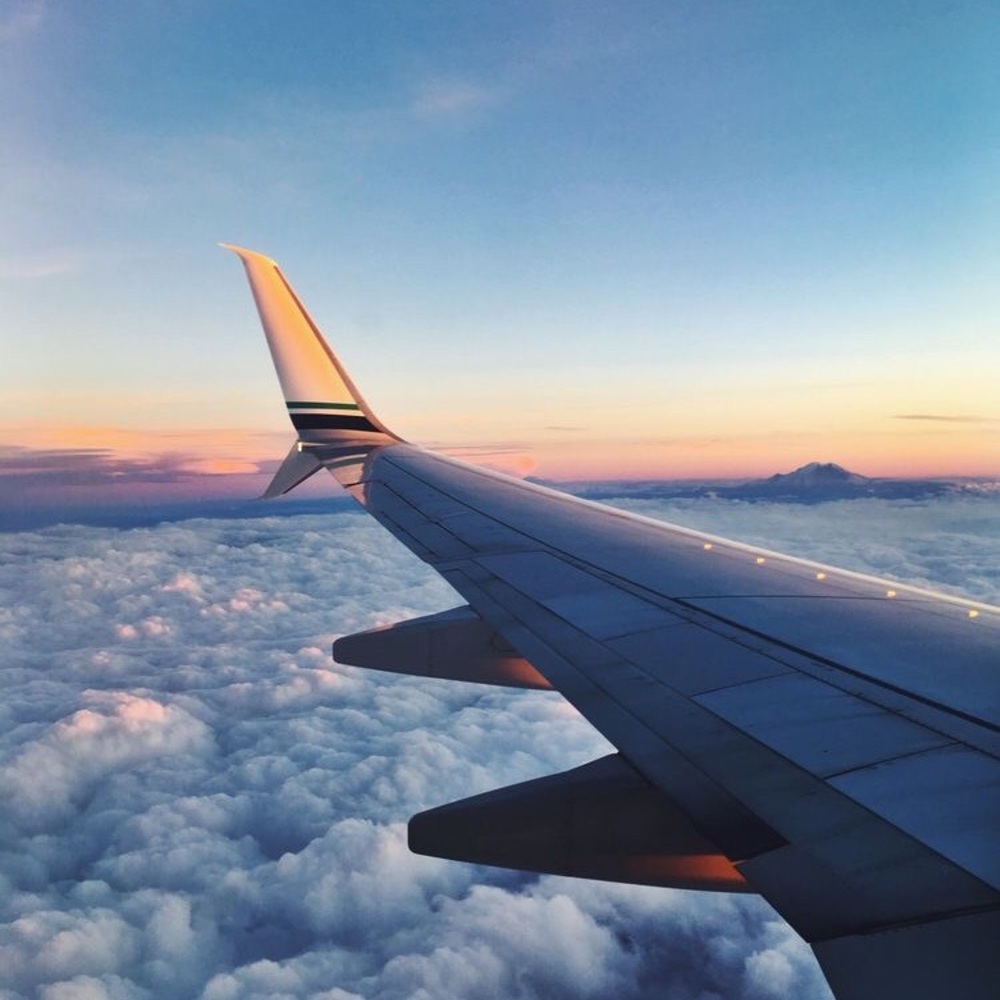 Meet your Posher, Abigail